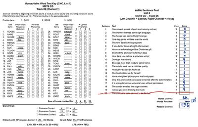 Visualization of Speech Perception Analysis via Phoneme Alignment: A Pilot Study